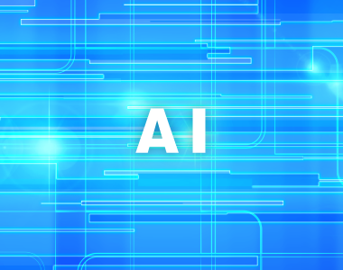 AI前処理用データ作成・整理・加工業務